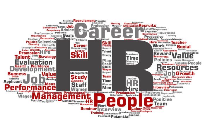 What Does HR Do? Complete HR Roles and Responsibilities in 2025 HR Roles and Responsibilities in Nigeria